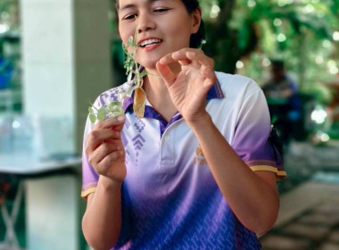 เชื่อมโยงสินค้าชุมชนระดับพื้นที่ พารามิเตอร์รูปภาพ 4